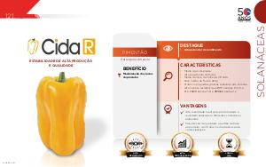 Cida R - Solanáceas