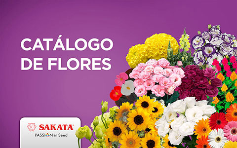 Catálogo de Flores - 