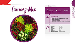 Fairway Mix - Jardim