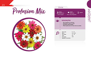 Profusion Mix - Corte