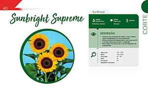 Sunbright Supreme - Corte