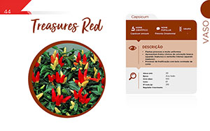 Treasures Red - Vaso