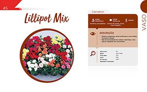 Lillipot Mix - Vaso