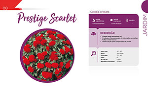 Prestige Scarlet - Jardim